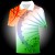 INDIAN FLAG PAINTING WITH COLLAR