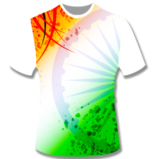 INDIAN FLAG PAINTING MM